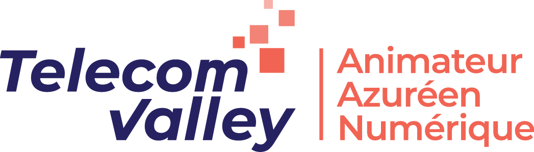 Logo of TELECOM VALLEY