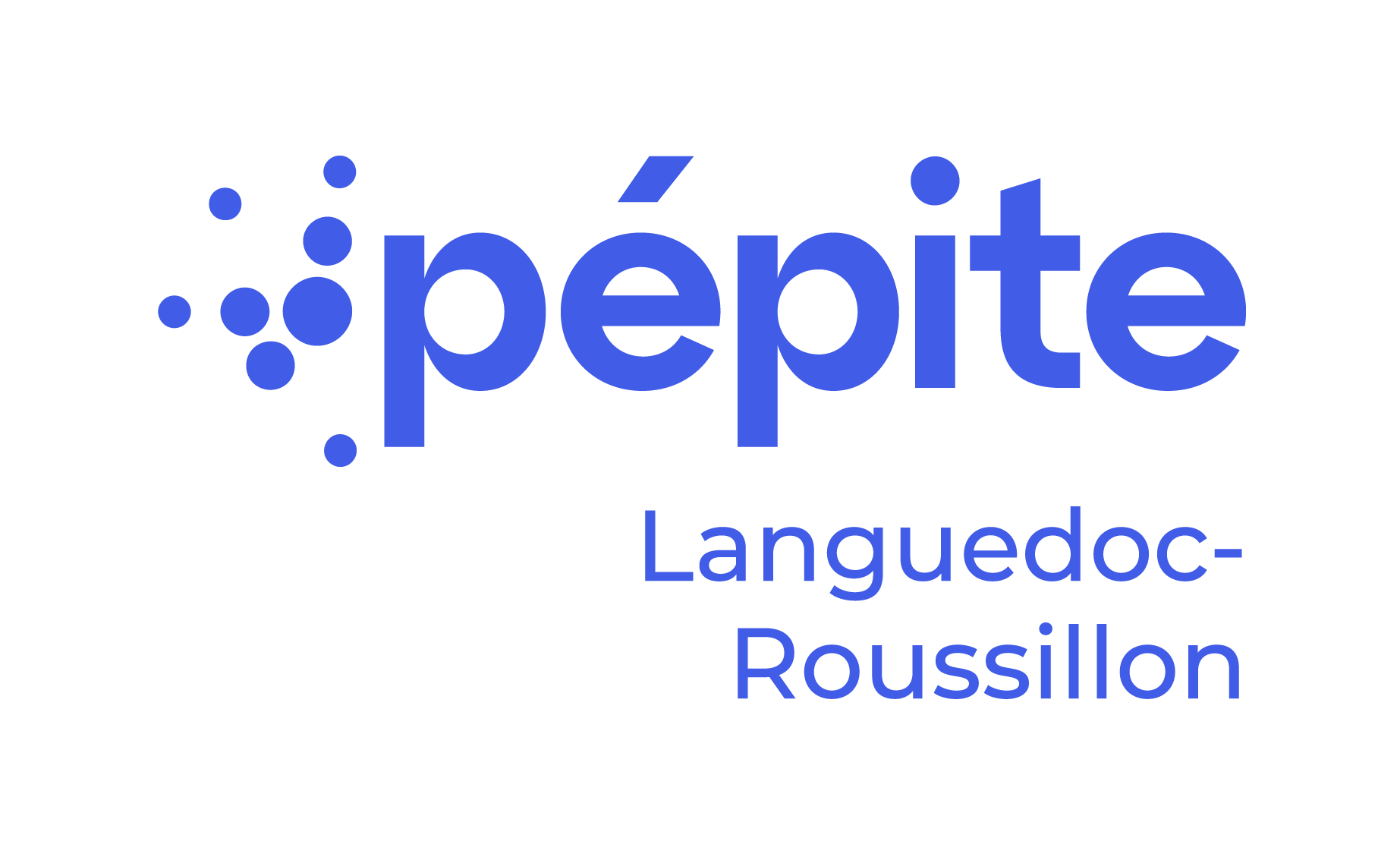 Logo of Pépite LR